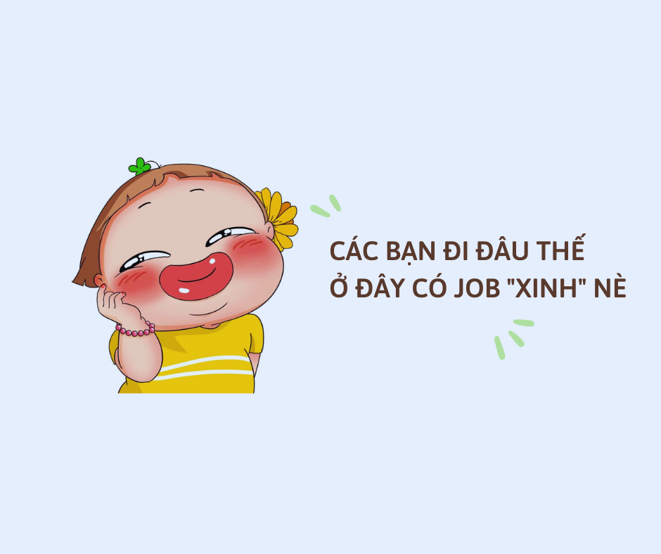 lĩnh vực hoạt động